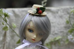 1f6a48bd.JPG