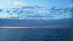 20110101_shiomi.jpg