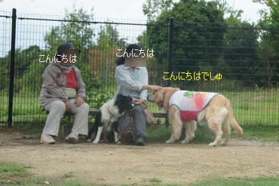 07454585.JPG