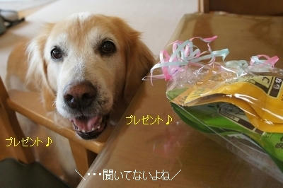 306117cd.JPG