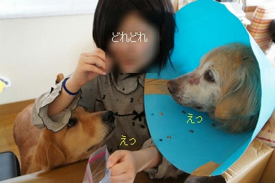 c869f01f.JPG