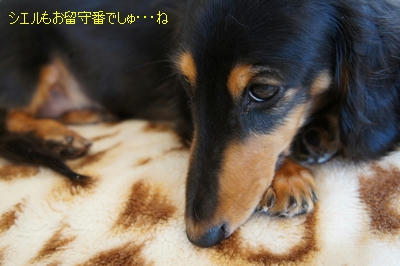 6f8acd25.JPG