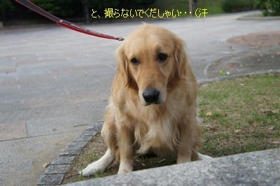 24a8ed72.JPG
