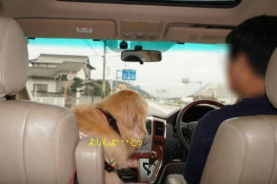 badeea03.JPG