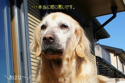 c7c956e0.JPG