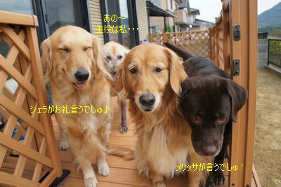 0f1b6c1b.JPG