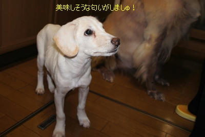 d06fc71f.JPG