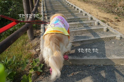 f516939f.JPG