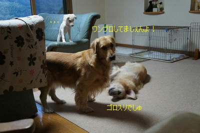 1b52d511.JPG