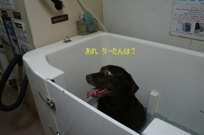 b4f4ad6c.JPG