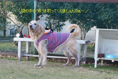 048aea6b.JPG