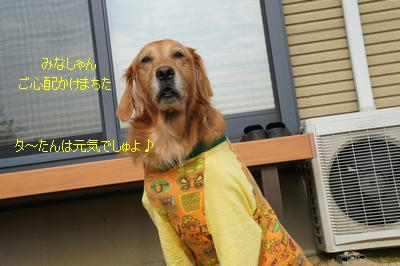 2a367321.JPG