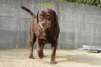 2301387d.JPG