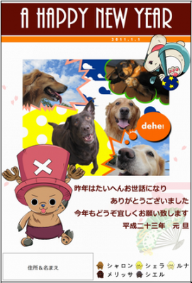 1294056465.png