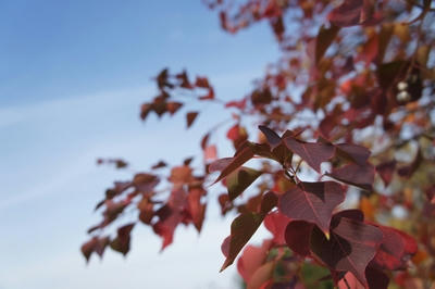 a2722ee0.JPG