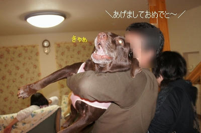 0f5e4e94.JPG
