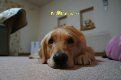 c8e824d8.JPG