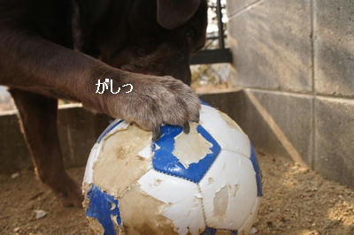 a0e33c4a.JPG