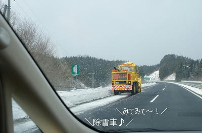 833f3d79.JPG