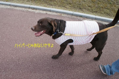 49870bbf.JPG