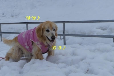 81783db2.jpeg