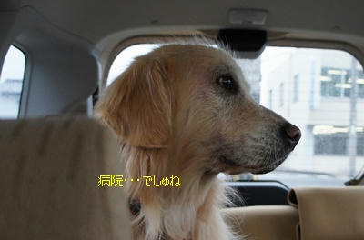 5567aa7b.jpeg