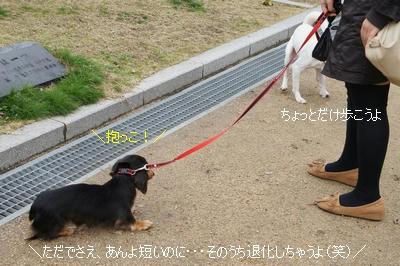 4c274d81.jpeg