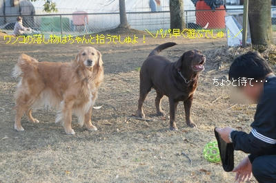 768ff696.jpeg