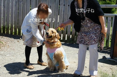 f22d1730.jpeg