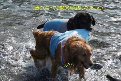 d72980db.jpeg