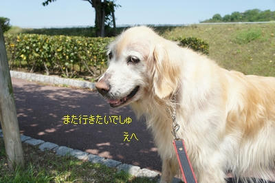 4c8342ee.jpeg