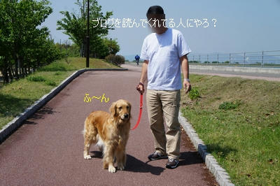 86a8a581.jpeg