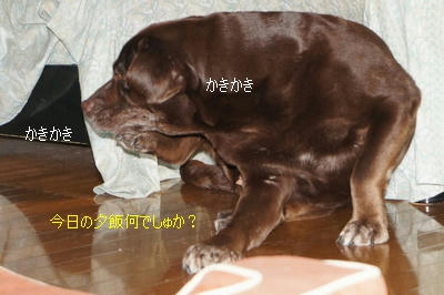 25f56d15.jpeg
