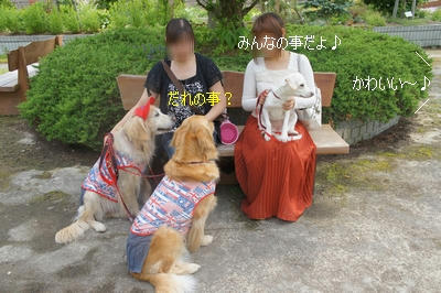 32bcde1a.jpeg