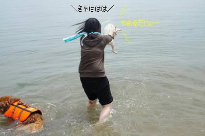 c6440094.jpeg