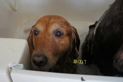 8935cfa5.jpeg
