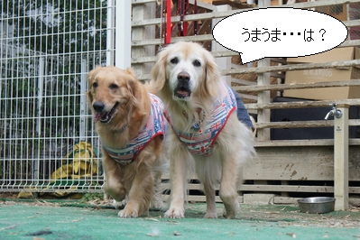 dd123ab7.png
