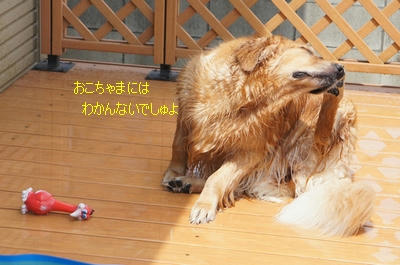 57343ce1.jpeg