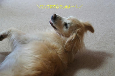 bd97eb91.jpeg