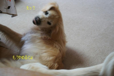 97e92899.jpeg