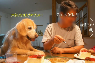 60acd7bb.jpeg
