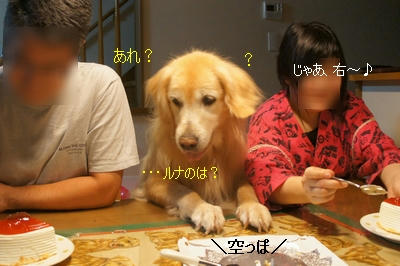 cb7b8c62.jpeg