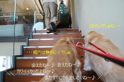 a6261788.jpeg