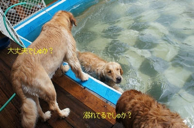 5a04d623.jpeg