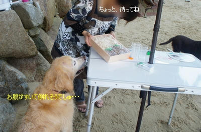 36489e17.jpeg