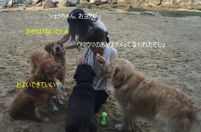 32ef3ab7.jpeg