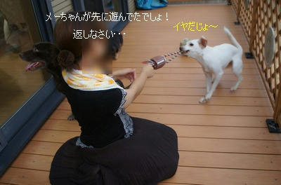d304048f.jpeg