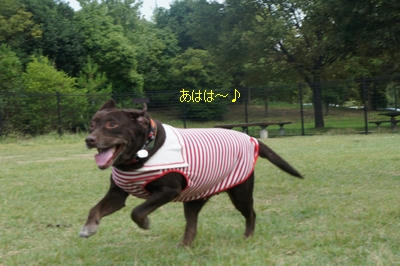 b9389355.jpeg