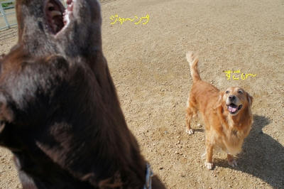 ffdfa777.jpeg