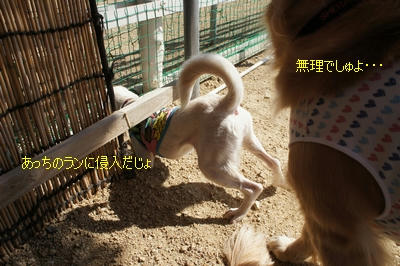 c5063b40.jpeg